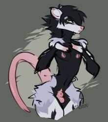 american_opossum animal_genitalia anthro arm_tuft ash_(faedread) bald_tail black_body black_fur black_hair faedread fluffy fur genitals green_eyes grey_body grey_fur hair hi_res hip_tuft male mammal marsupial nipples sheath shoulder_tuft small_waist solo tuft virginia_opossum