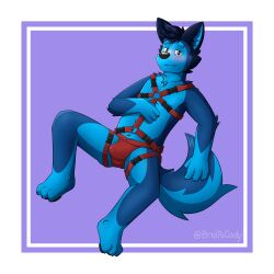 1:1 3_toes absurd_res anthro bedroom_eyes biped black_ears black_nose black_pawpads blue_body blue_fur blue_inner_ear blue_tail blush blush_lines broitscody canid canine canis clothing feet fur grey_eyes hand_on_chest harness hi_res inner_ear_fluff jockstrap looking_at_viewer male male_only mammal multitoned_fur narrowed_eyes pawpads seductive simple_background solo tail toes tuft two_tone_tail underwear watermark wolf