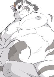 2024 anthro blush bodily_fluids bulge clothing felid genital_fluids hi_res hitachi_(tamacolle) hysk kemono male mammal moobs musclegut muscular nipples overweight overweight_male pantherine precum simple_background solo tamacolle tiger underwear white_background