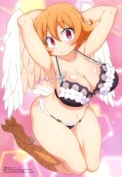 avian avian_humanoid bra breasts female female_only ishuzoku_reviewers meidri official_art panties passione_(company) wings