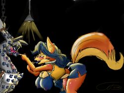 Sly Cooper (Series) Rule 34 Image