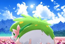 looking_at_viewer pokemon pokemon_(species) pokephilia pussy pussy_juice shaymin shaymin_(land_form) tagme wkar