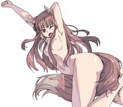 1girls ;o animal_ears armpits blush brown_hair hand_behind_head holo koma_(artist) long_hair nude red_eyes small_breasts spice_and_wolf tail wink yawn yawning