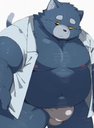 2025 anthro belly big_belly black_nose bulge clothed clothing domestic_cat felid feline felis hi_res kemono male mammal moobs nipples open_clothing open_shirt open_topwear overweight overweight_male shirt simple_background solo topwear trail_arnak underwear white_background