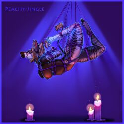 1:1 2025 anthro athletic bedroom_eyes black_mouth blue_tongue blush bondage bondage bound brown_body brown_fur candle candlelight cloven_hooves eyelashes eyeliner female fetlocks fur genevieve_lykelle genitals hair hi_res hooves inner_ear_fluff light looking_at_viewer makeup markings narrowed_eyes navel nipples peachy-jingle prehensile_tongue pubes purple_tongue pussy red_hair restraints rope rope_bondage rope_harness seductive side_view skylight solo striped_arms striped_body striped_fur striped_legs striped_markings stripes suspension suspension_bondage tail tail_tuft tongue tuft white_body white_fur