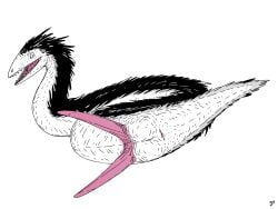 2025 2_penises animal_genitalia animal_penis anus ass balls belly black_body black_feathers digital_media_(artwork) earhole feathered_scalie feathers feral forked_tongue genitals hemipenes hi_res horizontal_anus horizontal_slit looking_at_viewer male mane multi_genitalia multi_penis neck_tuft penis pink_anus pink_mouth pink_penis pointy_snout presenting presenting_anus presenting_hindquarters presenting_penis reptile restricted_palette scalie simple_background smile snake solo tail tail_tuft tapering_penis teeth tongue tuft white_background white_belly zw3