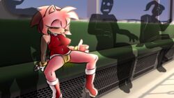 amy rose from sonic (series)