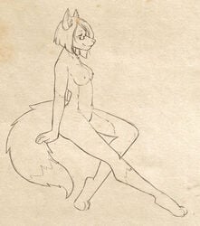 2019 absurd_res anthro breasts canid canine female fox fur hair hi_res mammal morgdl nipples nude rule_63 ryltar_(ryltar) simple_background smile solo