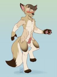 animal_genitalia animal_penis anthro balls blush canid canine canine_penis canis coyote dipstick_tail human male mammal multicolored_tail pawpads penis reservoirdog_(artist) smile solo standing_on_one_leg tail transformation