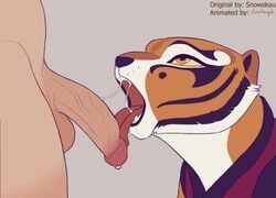 1boy 1girls 2019 animated anthro ball_fondling balls clothing cum cum_in_mouth cum_in_throat cum_inside cum_on_balls cum_on_penis deep_throat deepthroat dreamworks erection eye_contact feline fellatio female fur furry human human_on_anthro interspecies itroitnyah kung_fu_panda licking looking_at_viewer male male/female male_human/female_anthro male_on_anthro mammal master_tigress no_gag_reflex no_sound open_mouth oral orange_eyes orange_fur pantherine partial_male penis penis_lick penis_on_tongue pov_eye_contact saliva short_playtime simple_background snowskau straight teeth testicles throat throat_bulge tiger tongue tongue_out two_tone_fur video white_fur yellow_sclera