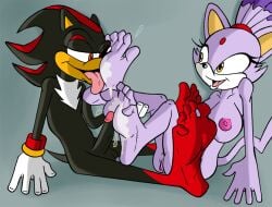 anthro blaze_the_cat breasts domestic_cat duo eulipotyphlan feet felid feline felis female foot_fetish foot_lick genitals hedgehog licking male mammal nipples nude penis salmacisreptile sega shadow_the_hedgehog sonic_(series) sonic_the_hedgehog_(series) tongue vulva