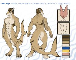 2024 2_penises abs animal_genitalia anthro anthrofied arm_tattoo biceps biped brown_body brown_hair claws colored deltoids digitigrade ear_piercing ear_ring erection fin fingers fish fist freckled_arms freckled_back freckled_hips freckled_legs freckled_shoulders freckled_tail freckled_thighs freckles front_view full-length_portrait genital_piercing genital_slit genitals hair hi_res humanoid_hands lemon_shark looking_at_viewer male marine markings matt_(sevsc) model_sheet multi_genitalia multi_penis muscular muscular_anthro muscular_male navel non-mammal_navel pecs penis piercing portrait rear_view requiem_shark ring_piercing shaded shark short_hair slit_piercing smile solo spottedp_anda0046 standing striped_markings stripes tail tail_fin tattoo toe_claws trapezius triceps yellow_eyes