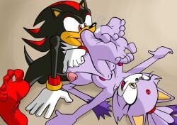 anthro black_body blaze_the_cat breasts clothing domestic_cat duo eulipotyphlan feet felid feline felis female foot_fetish foot_lick genitals gloves handwear hedgehog licking male mammal nipples nude penis purple_body salmacisreptile sega shadow_the_hedgehog sonic_(series) sonic_the_hedgehog_(series) tongue white_clothing white_gloves white_handwear