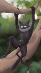 2026 5_fingers 5_toes absurd_res anal anal_sex animal_genitalia animal_penis anthro anus aroused balls belly big_anus big_tail biped black_arms black_balls black_belly black_body black_claws black_ears black_fur black_hands black_legs black_sheath black_tail branch claws crooked_tail cryptid day detailed_background digital_drawing_(artwork) digital_media_(artwork) digitigrade erection feet finger_claws fingers fur furry_tail genitals grey_body grey_fur grey_tuft hi_res improvised_sex_toy lineless long_tail male male_(lore) male_anthro monotone_anus monotone_arms monotone_balls monotone_belly monotone_body monotone_fur monotone_genitals monotone_penis monotone_tail multicolored_body multicolored_fur neck_tuft nubbed_penis nude outside pawpads paws penetration penile penis pink_anus pink_hands pink_pawpads pink_paws pink_penis plant prehensile_penis prehensile_tail rayne_hill seraphix shaded sheath short_ears short_fur short_sheath sitting skinny small_balls small_ears small_sheath solo spiral_pupils spread_legs spreading tail tail_anus tail_tuft thin_arms thin_penis thin_tail three-quarter_view tight_balls toes tree tuft two_tone_body two_tone_fur two_tone_hands white_eyes