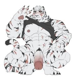 2026 abdominal_scar abs absurd_res anthro arknights barazoku black_clothing black_shirt black_stripes black_tank_top black_topwear blue_eyes blush bottomless chest_scar chobab_789 clothed clothing clothing_lift erection eye_scar facial_hair facial_scar felid finger_scar fur genitals goatee hair hi_res hip_scar hypergryph leg_scar male male_only mammal mountain_(arknights) muscular muscular_anthro muscular_male muscular_thighs nipples obliques pantherine pecs penis pubes scar scars_all_over shirt shirt_lift shirt_only shoulder_scar simple_background solo striped_body striped_fur stripes studio_montagne tail_scar tank_top tank_top_only thigh_scar tiger topwear topwear_only vein veiny_muscles veiny_penis white_background white_body white_fur white_hair