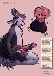 2026 3_fingers 4_ears absurd_res animal_genitalia animal_penis anthro artist_name avali avian balls balls_pregnancy bent_legs big_balls big_flare big_penis bird black_body black_claws black_feathers black_finger_claws black_fur black_genitals black_sclera black_toe_claws bladder blocked_orgasm bodily_fluids chest_tuft claws clenched_teeth closed_eyes colored comic countershading cum cum_blockage cum_denial cum_suppression cutaway dated description digital_drawing_(artwork) digital_media_(artwork) digitigrade dripping drooling emanata english_text equine_genitalia equine_penis erection expansion feathered_wings feathers feet finger_claws fingers flared_penis flaring fur fyr_(fenrir784) genital_expansion genital_fluids genitals gradient_penis hair hi_res holding_penis huge_cock impregnation infestation infesticles information information_box information_section inside_balls internal internal_bladder internal_testicles kneeling looking_pleasured male male_anthro maleherm_(lore) masturbation medial_ring mismatched_animal_penis mismatched_genitalia mismatched_penis motion_lines multi_ear multicolored_body narrowed_eyes nude number open_mouth organs orgasm_denial page_number parasite penetration penile penile_masturbation penile_penetration penis penis_x-ray pink_genitals pink_penis precum precum_drip precum_on_penis precum_squirt saliva sequence shaded side_view signature simple_background simple_shading solo squint squinted_eyes tail teeth testicle_impregnation testicular_pregnancy text text_box throbbing throbbing_balls throbbing_penis toe_claws toes tokocofi tongue tongue_out tuft tufted_fur unusual_pregnancy urethra urethra_worm urethral urethral_bulge urethral_penetration vein veiny_balls veiny_penis white_body white_feathers white_fur winged_arms wings worm x-ray_view