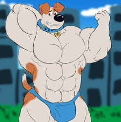 abs anthro biceps buff canine collar dog domestic_dog illumination_entertainment jack_russell_terrier male male_only max_(secret_life_of_pets) muscular_male rough_sketch speedo the_secret_life_of_pets