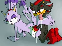 anthro balls black_body blaze_the_cat doggy_style domestic_cat duo eulipotyphlan feet felid feline felis female foot_fetish foot_lick from_behind_position genitals hedgehog licking male mammal purple_body red_eyes salmacisreptile sega sex shadow_the_hedgehog sonic_(series) sonic_the_hedgehog_(series) tongue