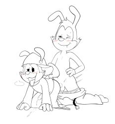 animaniacs duo hi_res inkblot male male/male non-human non-human_head non-human_only toony unknown_artist wakko_warner warner_brothers