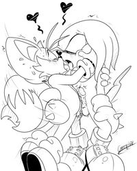 2boys anthro balls furry gay green_hill kissing knuckles_the_echidna male male_only penis precum sonic_(series) tails