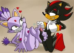 anthro black_body blaze_the_cat breasts domestic_cat duo eulipotyphlan feet felid feline felis female foot_fetish foot_play footjob genitals hedgehog male mammal nipples penis purple_body salmacisreptile sega sex shadow_the_hedgehog sonic_(series) sonic_the_hedgehog_(series) vulva