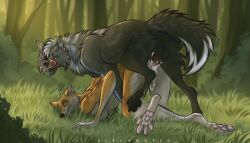 absurd_res animal_genitalia animal_penis anthro anthro_on_feral bite_mark blood bodily_fluids canid canine canine_genitalia canine_penis canis cum cum_in_vagina cum_inside domestic_dog dominant dominant_feral duo female feral genital_fluids genitals hi_res huge_filesize licking licking_lips male male/female mammal penis sex shiba_inu spitz tongue tongue_out vulva wolf zoophilia