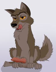 balls balto balto_(film) bedroom_eyes canid canine canis erection feral fluffy fluffy_tail half-closed_eyes horny_(disambiguation) hybrid knot licking looking_at_viewer male male_only mammal seductive sitting skateryena spread_legs spreading tongue tongue_out wolfdog