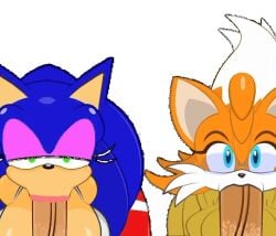 2d 2d_animation 2girls animated animated big_breasts big_penis blowjob ctrl-z furry gender_transformation rule_63 sonic_(series) sonic_the_hedgehog tails tails_the_fox transparent_background