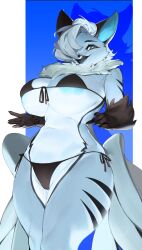 1girls anthro avian big_breasts bikini blue_eyes breasts dervid_(taktian) female female_only gryphon hair_over_one_eye hi_res looking_at_viewer smiling smiling_at_viewer solo thick_thighs wide_hips woobin94