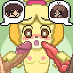 1girls 2boys animal_crossing animal_genitalia animal_penis animated areolae breasts brother brother_and_sister brown_eyes brown_fur canine canine_penis closed_eyes digby_(animal_crossing) fellatio female humanoid_penis incest interspecies isabelle_(animal_crossing) knot male multiple_boys multiple_penises nintendo nipples opposite_sex_twins oral penis penis_grab pixel_art shih_tzu sister straight sucking threesome ura_momo video_games villager_(animal_crossing) yellow_fur