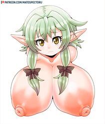 areolae big_breasts breasts bust bust_style elf female female_only goblin_slayer green_hair hair high_elf_archer_(goblin_slayer) huge_breasts large_penis long_hair matospectoru nipples pointy_ears simple_background solo url video_games white_background