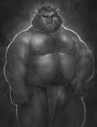 2024 anthro asian_clothing barazoku bulge clothing east_asian_clothing fundoshi hi_res humanoid_hands incarnata japanese_clothing kemono male male_only mammal monochrome moobs musclegut nipples overweight overweight_male simple_background solo suid suina sus_(pig) underwear wild_boar