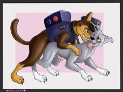 2boys anal animal_genitalia anus ass brown_eyes canine chase_(paw_patrol) clothed clothed_feral clothing drooling feet feral feral_on_feral furry gay gloves_(marking) grin hat inner_ear_fluff looking_back male male_only mammal markings paw_patrol paws penis police_uniform rocky_(paw_patrol) saliva smile socks_(marking) tapering_penis text uniform vest volchara watermark yaoi