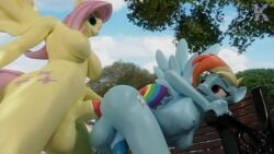 2futas 3d animal_genitalia animal_penis animated anthro athletic_futanari balls_touching blue_body blue_skin breasts cutie_mark equid equine equine_genitalia equine_penis fluttershy_(mlp) friendship_is_magic from_behind futa_on_futa futanari green_eyes gynomorph hair hasbro horsecock intersex kinkivas multicolored_hair multicolored_tail my_little_pony no_sound pegasus penis pink_eyes pink_hair rainbow_dash_(mlp) rainbow_hair rainbow_tail tagme tail video wings yellow_body yellow_skin