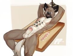 2024 4:3 aggressive_retsuko aggretsuko anthro athletic athletic_anthro athletic_male balls bound brown_body brown_fur food food_on_body fur genitals haida haida_(aggretsuko) hands_tied hi_res humanoid_genitalia humanoid_penis hyena jrjresq lying male mammal nantaimori nude on_back penis sanrio solo spotted_hyena sushi tail