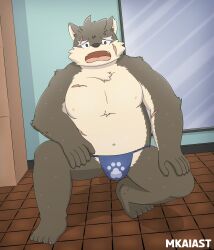 background brown_fur detailed_background frown fundoshi furry furry_only housamo locker_room male male_only mirror mkaiast moritaka nipples scar scars sweat tokyo_afterschool_summoners