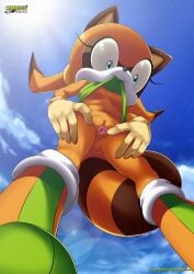 1girls anthro ass bbmbbf breasts clothing female female_only marine_the_raccoon mobius_unleashed palcomix pussy sega small_breasts solo solo_female sonic_(series) sonic_the_hedgehog_(series) spread_pussy spreading upward_angle_between_legs