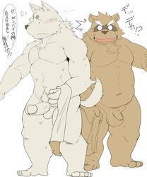 2013 anthro balls belly blush brown_fur canid canine canis domestic_dog duo erection flaccid fur humanoid_hands humanoid_penis japanese_text male male_only mammal moobs navel overweight overweight_male penis raccoon_dog shiike999 simple_background tanuki text towel white_background