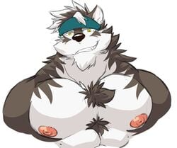 abs anthro canine daikitei fur furry furry_only horkeukamui male male_only muscles muscular nipples pecs smile soft_color soft_shading solo tokyo_afterschool_summoners wolf