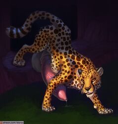 anatomically_correct balls big_balls conditional_dnp danza felid feral hi_res huge_balls hyper hyper_balls jasiri leaky leopard male male_only mammal pantherine patreon penis pinup pose precum smile smirk solo