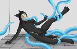 1boy anal anal_sex anthro balls black_fur black_hair black_penis bound canid canine closed_eyes cum cum_on_ground cum_on_tentacles cum_while_penetrated cumshot dread-fox ejaculation fellatio fur hair hi_res male male_anthro male_only male_scp-1471 mammal oral orgasm penetration penis restrained scp-1471 scp_foundation sex skull solo tentacle tongue tongue_out