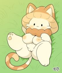 2024 :3 absurd_res anthro areola artist_name ass big_breasts big_butt blush breasts brown_ears brown_tail butt_from_the_front colored digital_drawing_(artwork) digital_media_(artwork) dot_eyes elemental_creature facial_tuft felid feline female female_anthro full-length_portrait fungi_fauna fungus fur genitals grass_field hand_behind_head hi_res hybrid inverted_nipples long_tail looking_at_viewer lying mammal multicolored_ears multicolored_tail mushroom_cap navel neck_tuft nipples nude nude_anthro nude_female on_back one_leg_up pawpads paws portrait pose raised_leg shortstack signature simple_eyes slightly_chubby slightly_chubby_anthro slightly_chubby_female solo tail tan_areola tan_ears tan_nipples tan_tail text thick_thighs tonytoran tuft two_tone_ears vulva white_body white_fur white_inner_ear white_tail