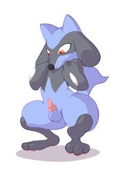 1boy animal_genitalia animal_penis anthro canine canine_penis erection feet furry hi_res knot male mammal moisty nintendo paws penis pokémon_(species) pokemon pokemon_dppt presenting riolu solo squatting testicles video_games