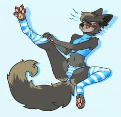 2024 anthro blue_clothing blue_crop_top blue_shirt blue_topwear blush bodily_fluids bottomwear brown_eyes bulge canid canine canis clothing colored crop_top detailed_bulge digital_drawing_(artwork) digital_media_(artwork) femboy flat_colors fur furry grey_body grey_fur grey_markings hi_res konejo legwear male mammal markings navel one_leg_up panties pattern_bottomwear pattern_clothing pattern_legwear pattern_panties pattern_stockings pattern_underwear pawpads pink_pawpads raised_leg shirt sitting skinny_male solo spread_legs spreading stockings striped_bottomwear striped_clothing striped_legwear striped_panties striped_stockings striped_underwear stripes sweat tail tongue tongue_out topwear underwear wolf