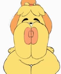 1girls andyxtal animal_crossing animal_ears animated anthro bouncing_breasts dog_ears female furry huge_breasts isabelle_(animal_crossing) nintendo nude open_mouth smile thick_thighs yellow_fur