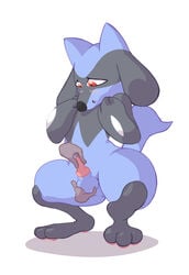 1boy animal_genitalia animal_penis anthro anus blush canine canine_penis caressing_testicles erection feet furry handjob hi_res human interspecies knot looking_pleasured male mammal moisty nintendo paws penis pokémon_(species) pokemon pokemon_dppt presenting riolu sex squatting testicles video_games