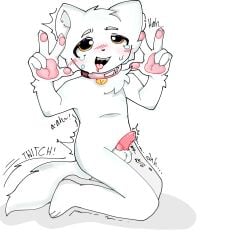 arms_up blank_background blush collar crying crying_with_eyes_open dripping_penis drooling feline femboy furry male minecraft moaning no_touching orange_eyes pawpads paws precum saroney shaking tail tail_motion tongue_out vermey