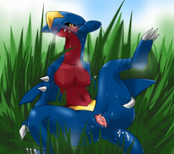 blush breasts color day female female_garchomp female_only front_view garchomp grass nintendo nude outdoors pokemon pokemon_(species) pussy pussy_juice raised_leg sitting solo tagme vulva