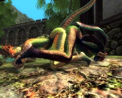 3d anthro argonian dar-ma mod oblivion scalie the_elder_scrolls