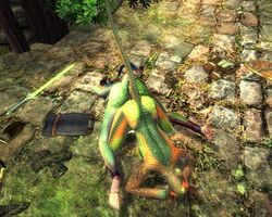 3d anthro argonian dar-ma mod oblivion scalie the_elder_scrolls